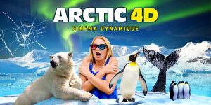 Arctic 4d