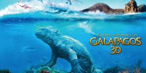 Galapagos 3D