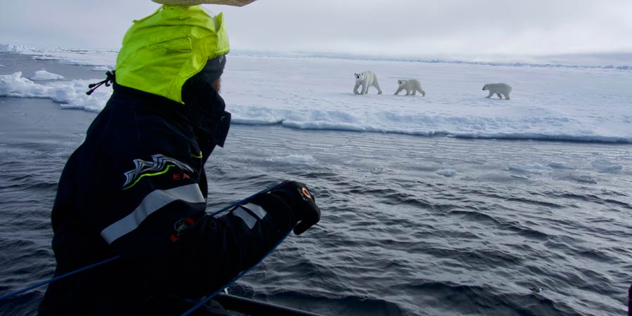 De Biarritz à l'océan Arctique, l'épopée d'un explorateur moderne