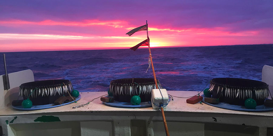 Quelle pêche durable sur nos côtes basco-landaises ?