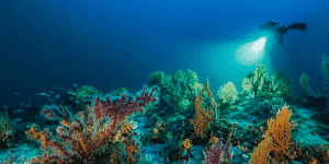 Planète Méditerranée