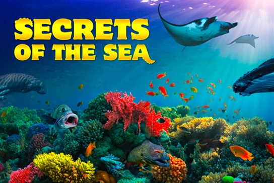 Secrets of the Sea