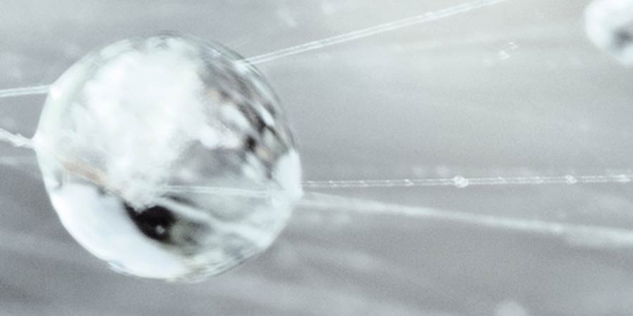 De l’univers à l’atome