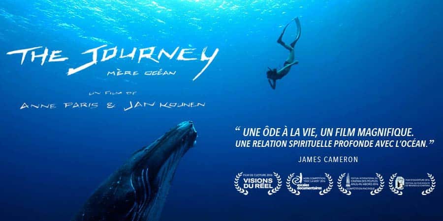 Projection The Journey