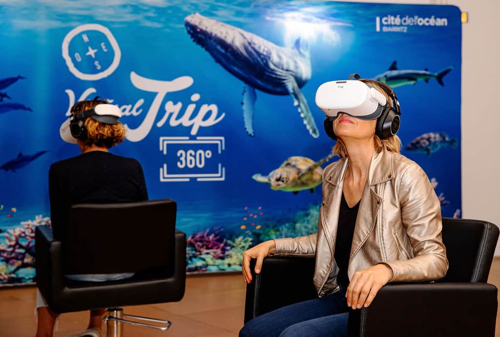 Exploration sous-marine en réalité virtuelle à 360 degrés