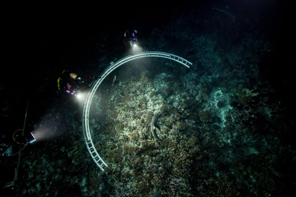Underwater view of an expedition surrounded by sharks with realistic visual effects