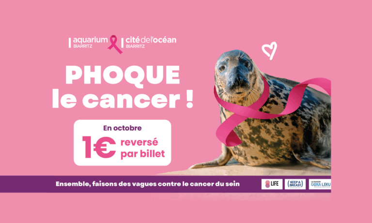 Phoque le cancer à la Cité de l'Océan