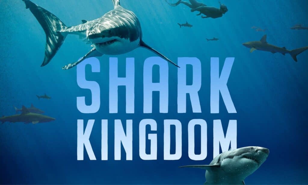 Nouveau film à la Cité de l'Océan Shark Kingdom