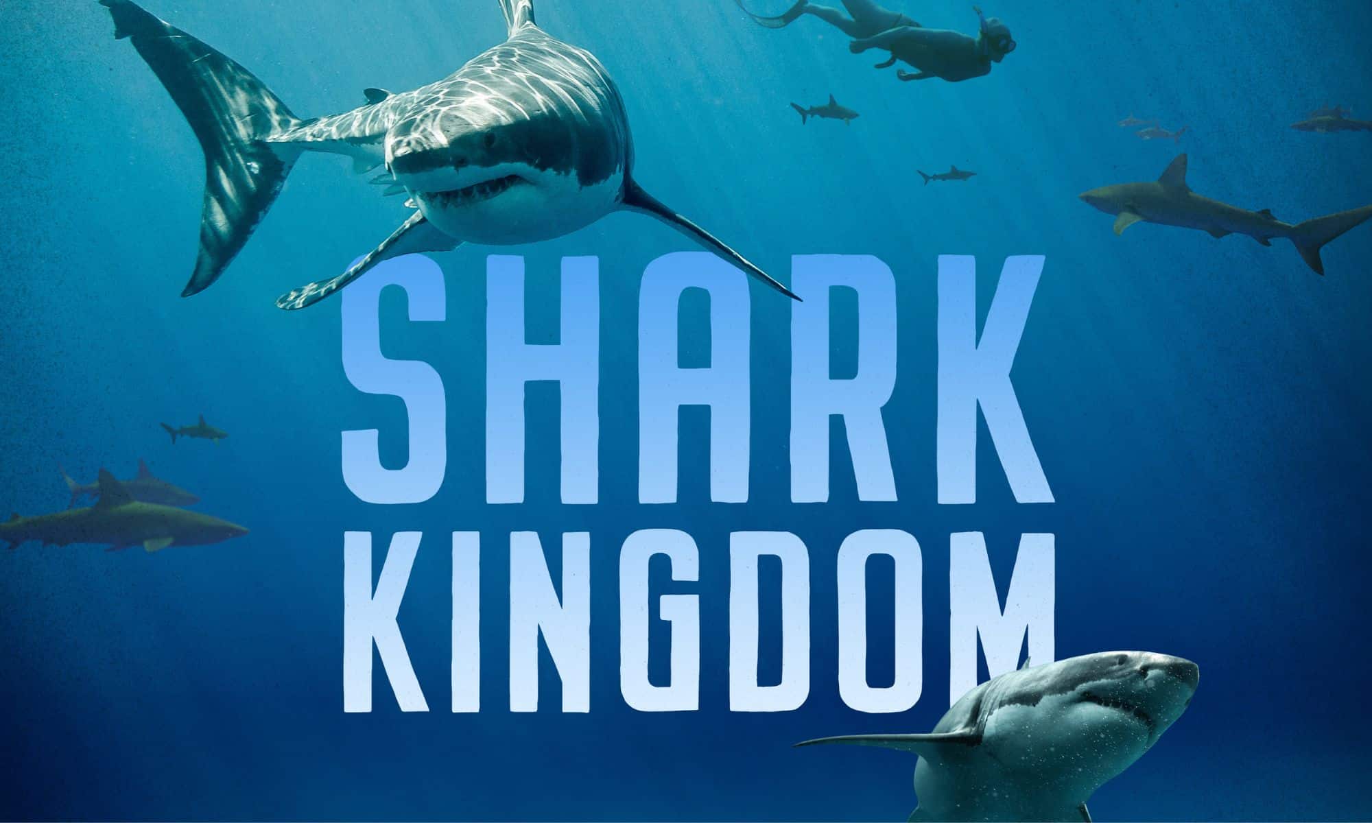 Nouveau film à la Cité de l'Océan Shark Kingdom